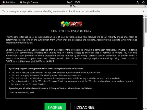 80gays.com ????